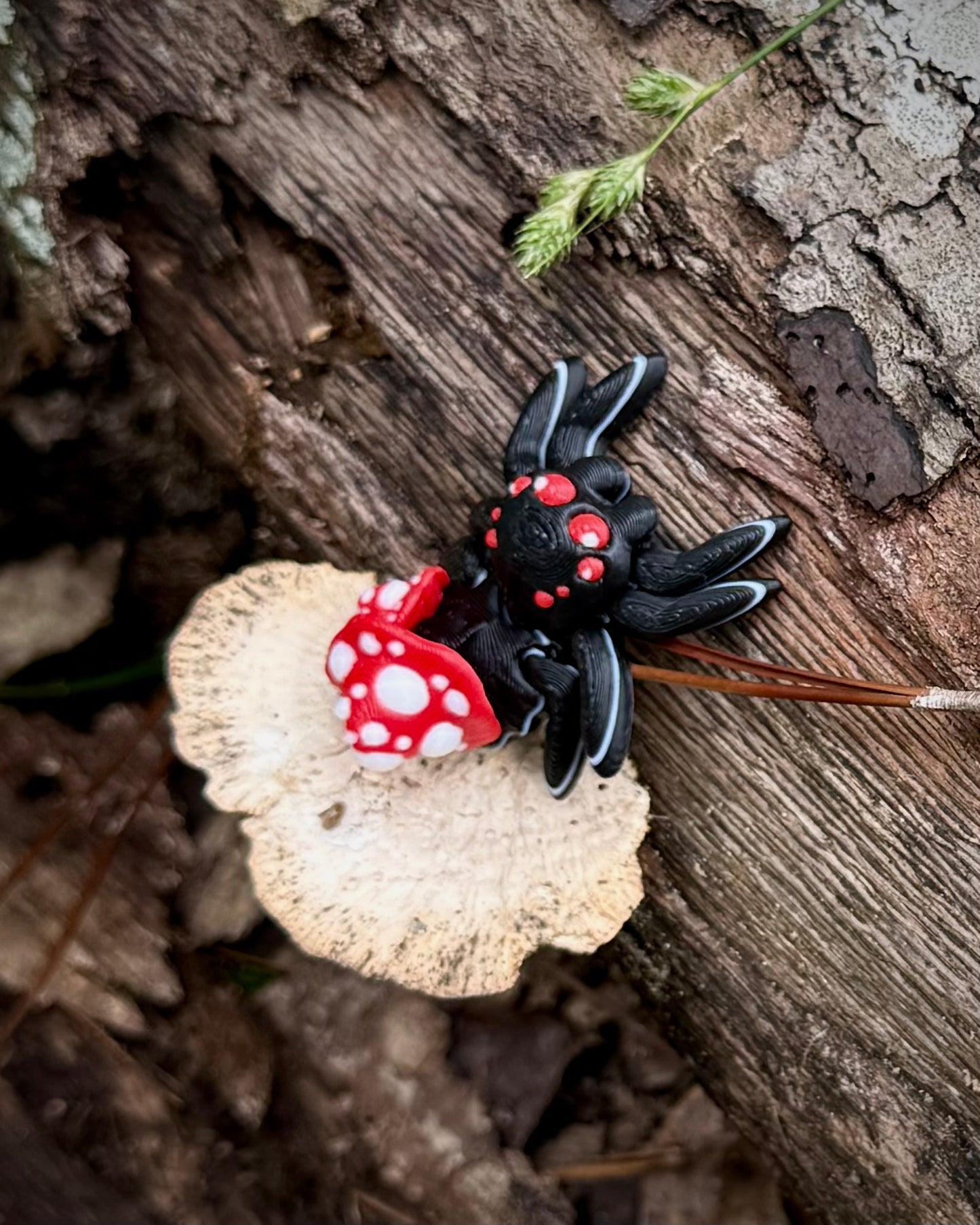 Tiny Mushroom Spider