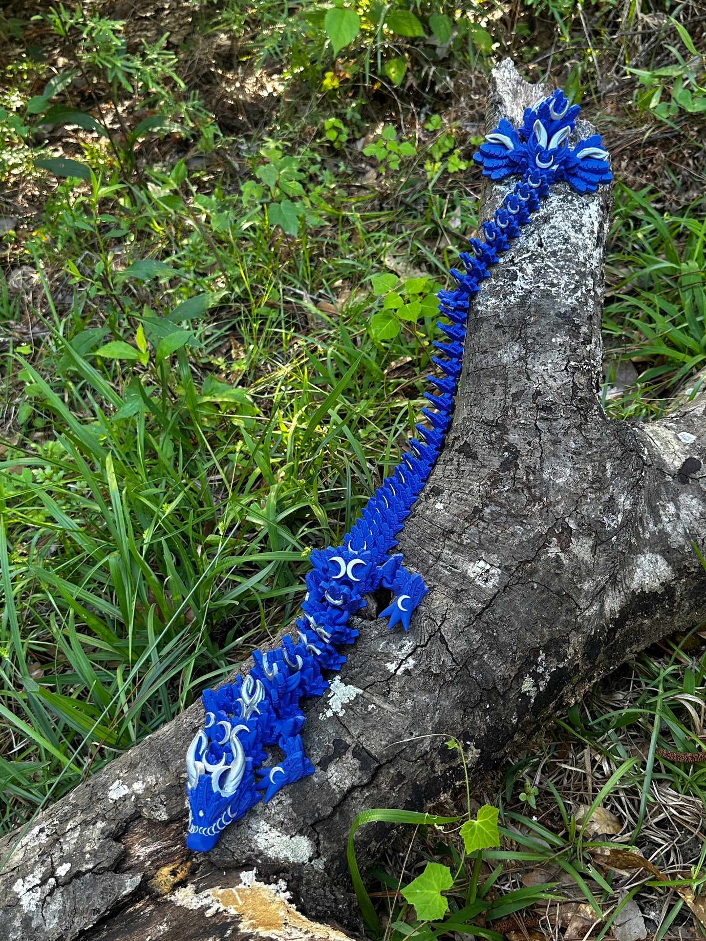 Articulating Lunar Dragon