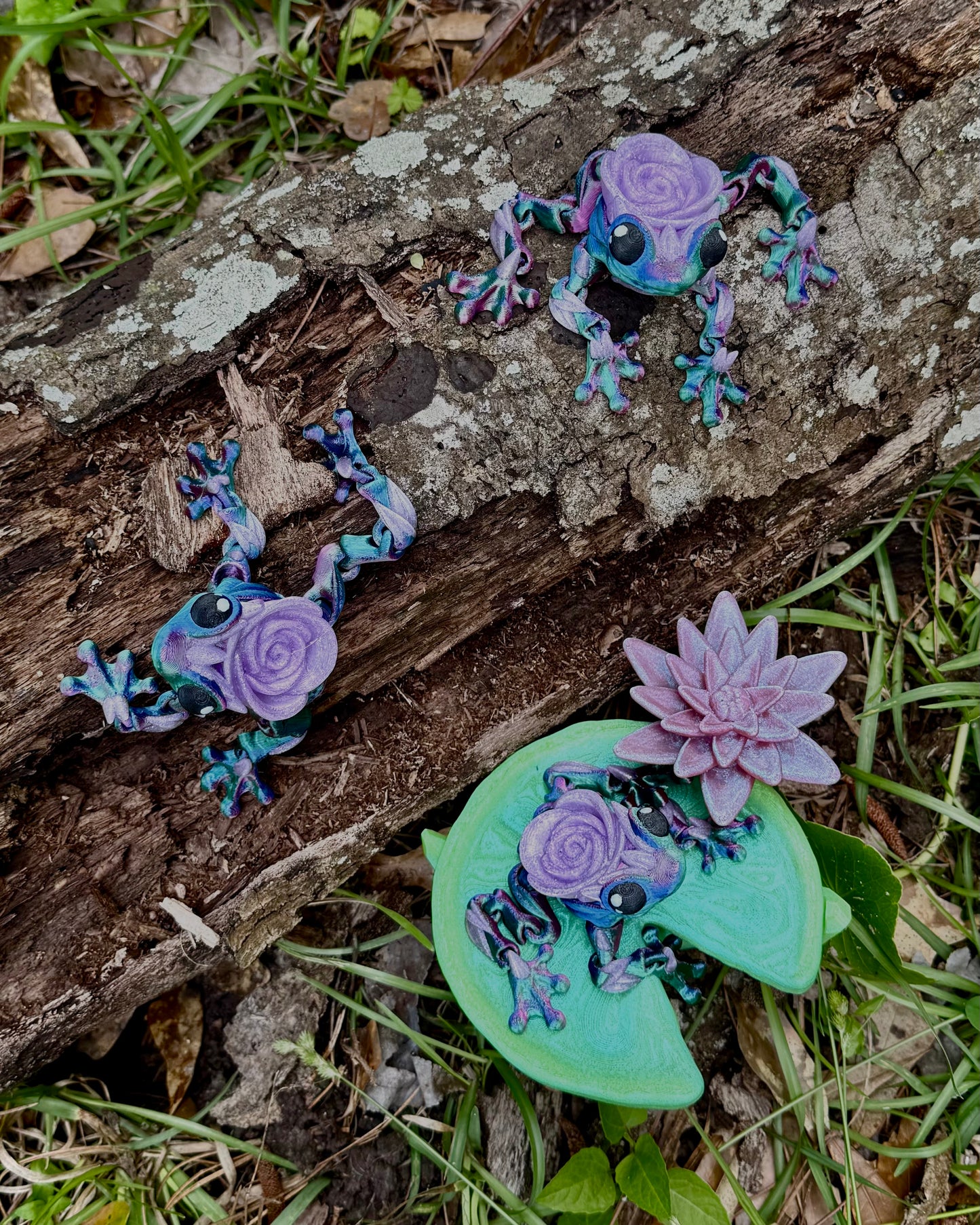 Rose Frog