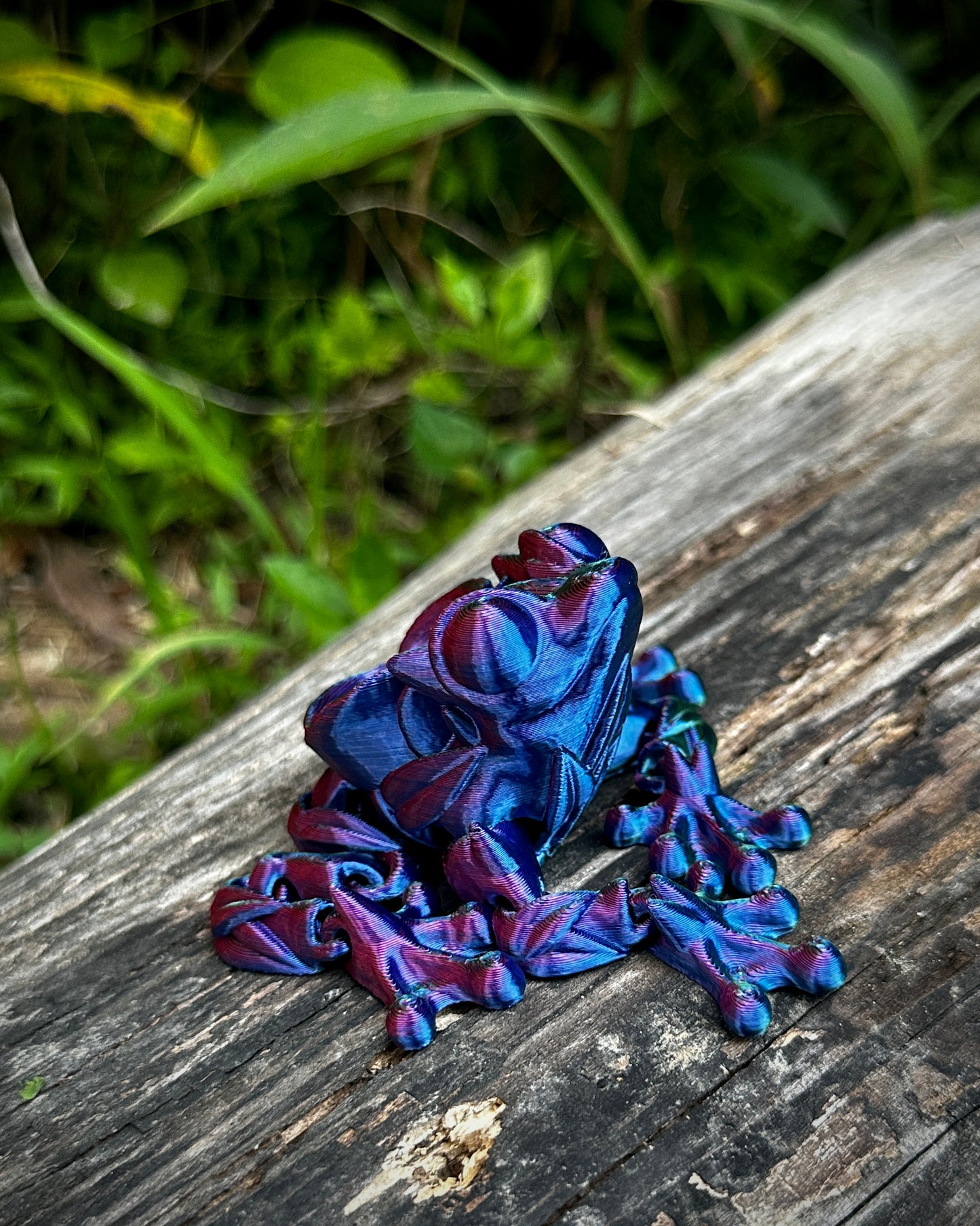 Rose Frog