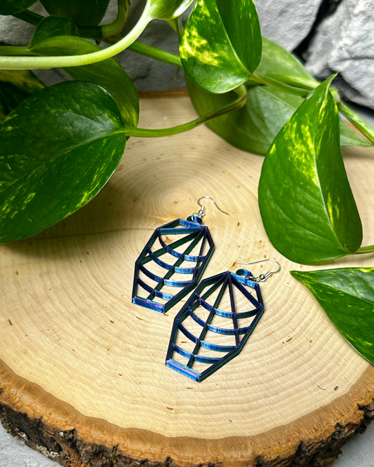 Spiderweb Coffin Earrings