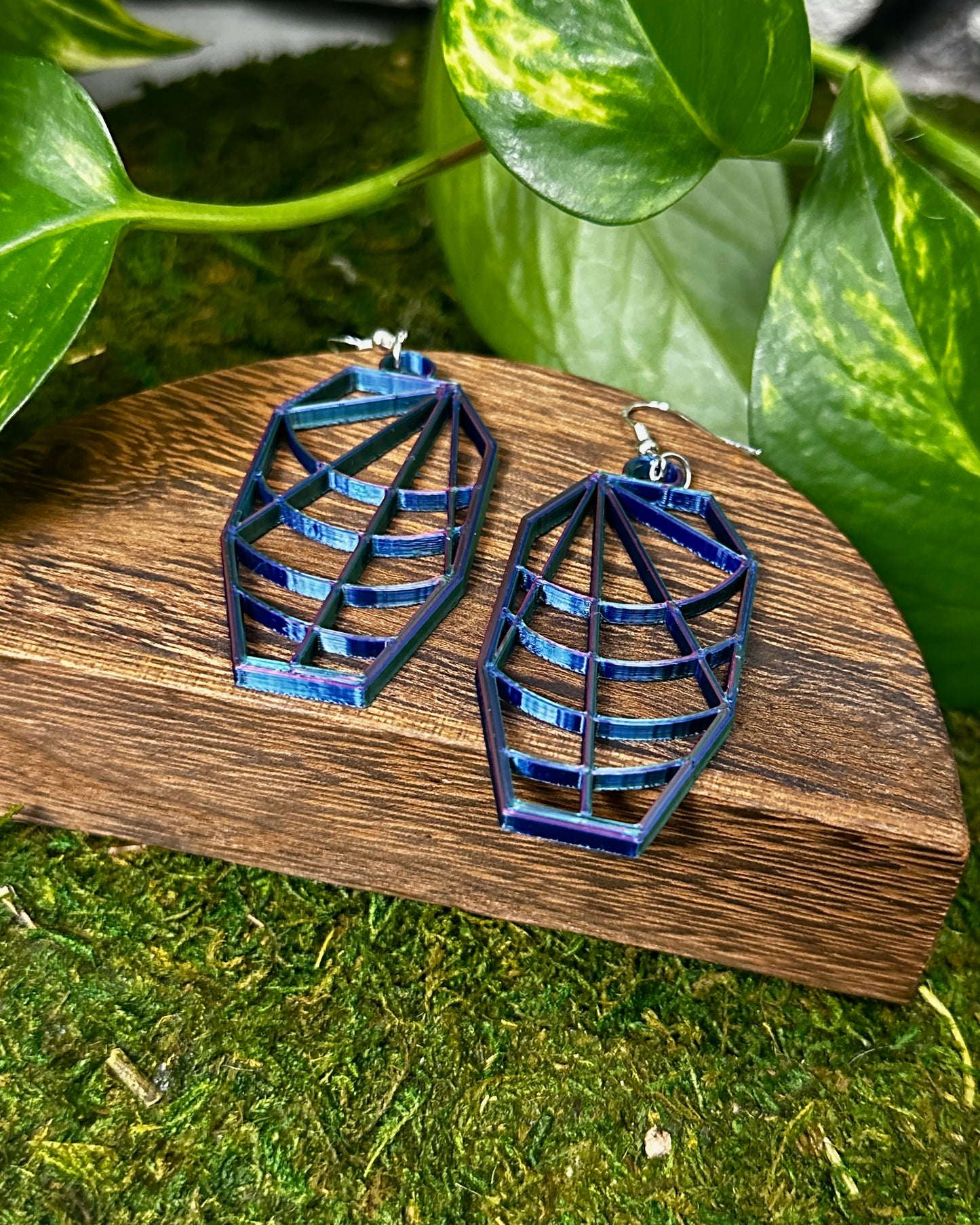 Spiderweb Coffin Earrings