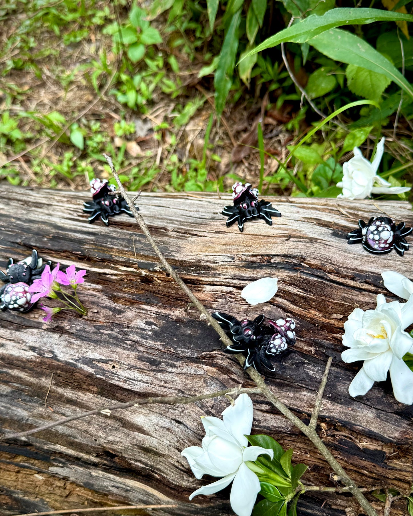 Tiny Mushroom Spider