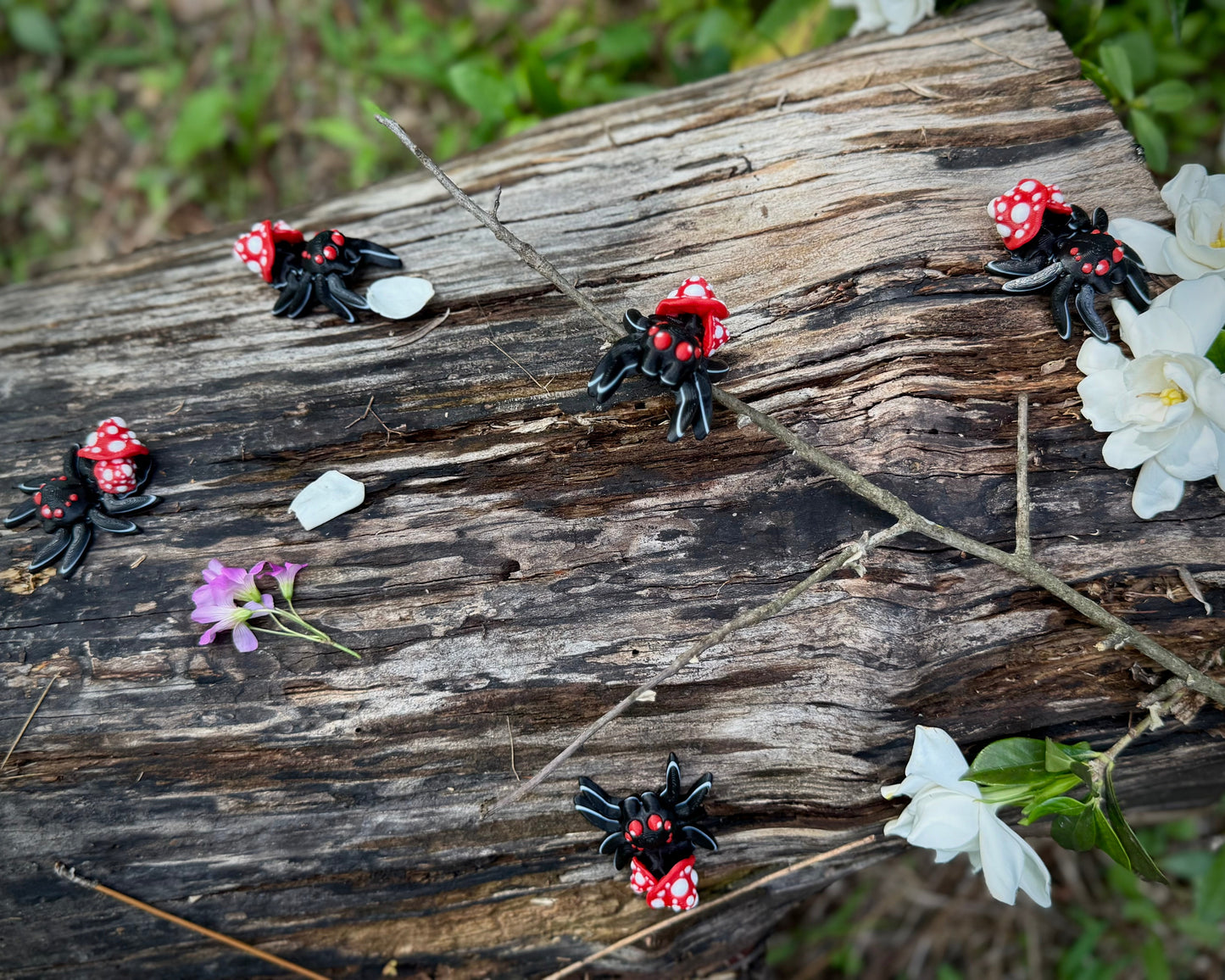 Tiny Mushroom Spider