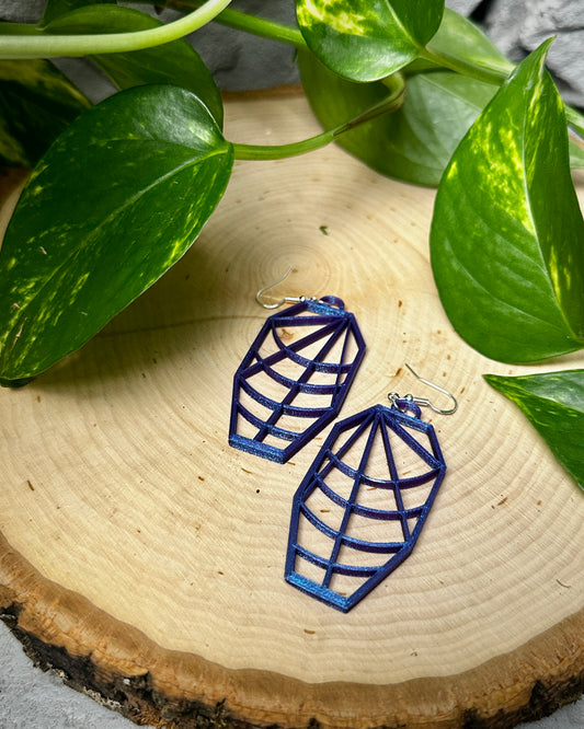 Spiderweb Coffin Earrings