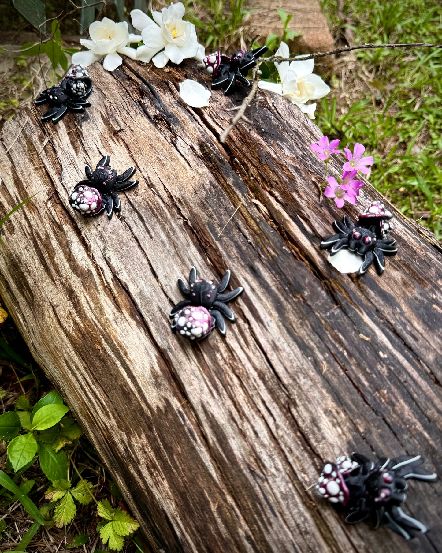 Tiny Mushroom Spider