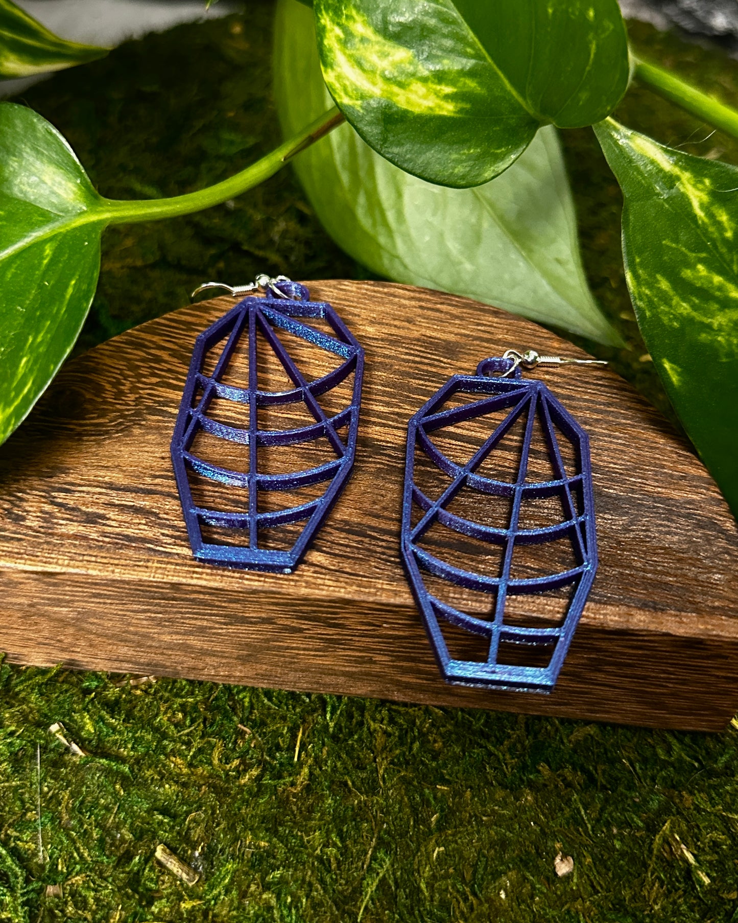 Spiderweb Coffin Earrings