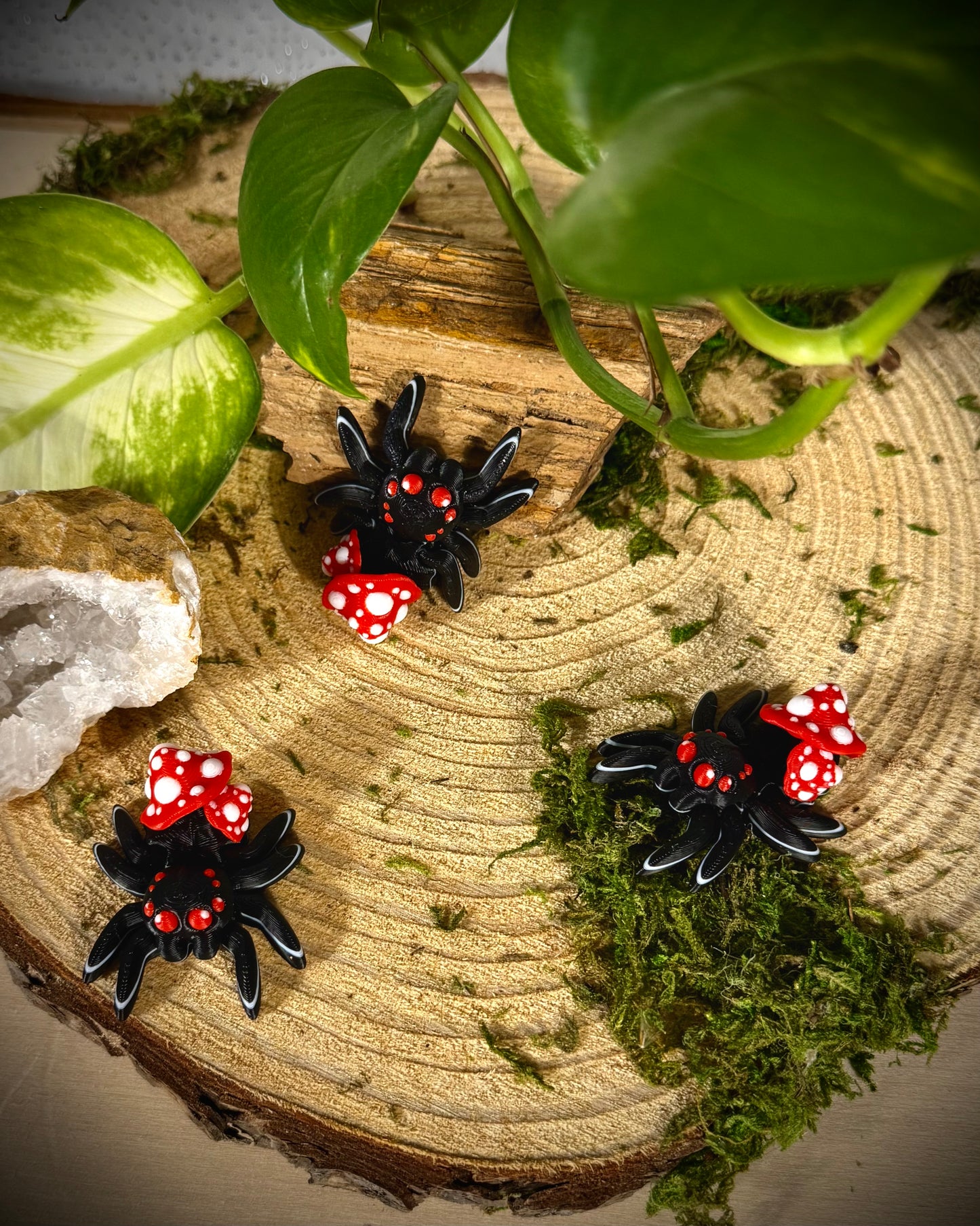 Tiny Mushroom Spider